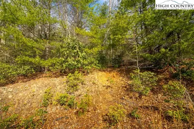 Lot 11 Forever Drive, Fleetwood, NC 28626 - Photo 14