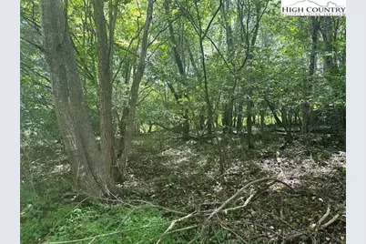 Lot 41 Riverwind Drive, Lansing, NC 28643 - Photo 4