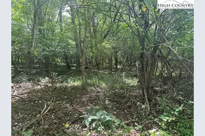 Lot 41 Riverwind Drive, Lansing, NC 28643 - Photo 2