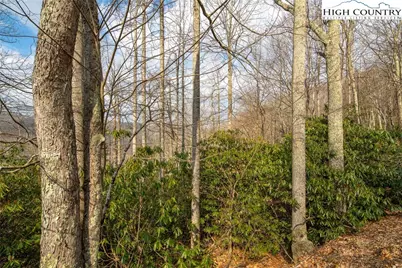 1122 Pine Ridge Road, Beech Mountain, NC 28604 - Photo 38