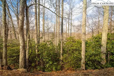 1122 Pine Ridge Road, Beech Mountain, NC 28604 - Photo 34