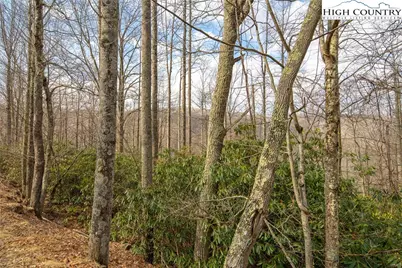 1122 Pine Ridge Road, Beech Mountain, NC 28604 - Photo 10