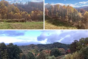 244 Flat Springs Rd, Elk Park, NC 28622 - Photo 1