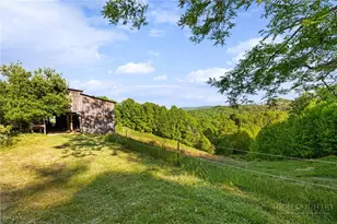 244 Flat Springs Rd, Elk Park, NC 28622 - Photo 22