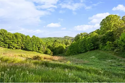 244 Flat Springs Road, Elk Park, NC 28622 - Photo 10