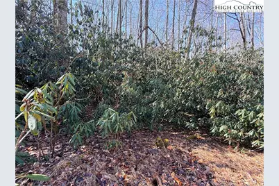 545 Pinnacle Ridge Road, Beech Mountain, NC 28604 - Photo 6