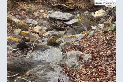 Lots 37 and 38 Snow Ridge Road, Banner Elk, NC 28604 - Photo 16