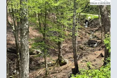 Lots 37 and 38 Snow Ridge Road, Banner Elk, NC 28604 - Photo 22