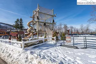 101 Upper Holiday Ln, Beech Mountain, NC 28604 - Photo 18