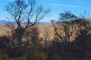 101 Upper Holiday Ln, Beech Mountain, NC 28604 - Photo 4