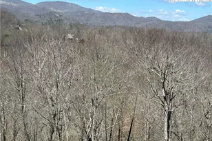 180 Indian Paintbrush Dr, Banner Elk, NC 28604 - Photo 10