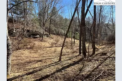 Lot#42 Isabelle Rose Way, Piney Creek, NC 28663 - Photo 1