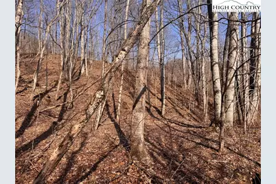 00 US 19 Highway, Newland, NC 28657 - Photo 4