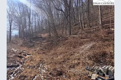 00 US 19 Highway, Newland, NC 28657 - Photo 8