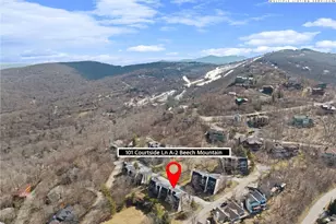 101 Courtside Ln, Beech Mountain, NC 28604 - Photo 38