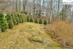 133 Brandiwood Estate Dr, West Jefferson, NC 28694 - Photo 6