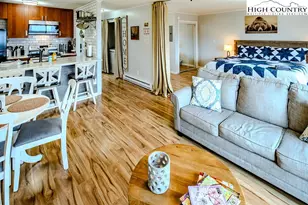 103 Upper Holiday Ln, Beech Mountain, NC 28604 - Photo 8