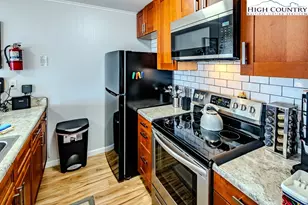 103 Upper Holiday Ln, Beech Mountain, NC 28604 - Photo 12