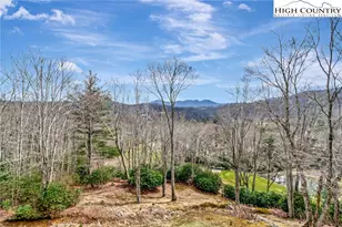 115 Turkey Trl, Sugar Mountain, NC 28604 - Photo 42