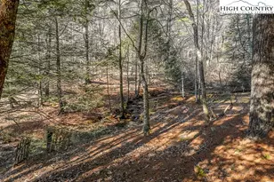 326 Deer Ridge Ln, Sparta, NC 28675 - Photo 36