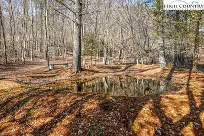 326 Deer Ridge Lane, Sparta, NC 28675 - Photo 10