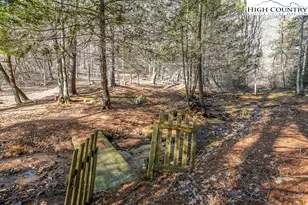 326 Deer Ridge Ln, Sparta, NC 28675 - Photo 40