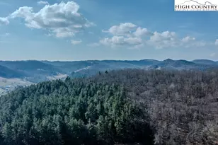 326 Deer Ridge Ln, Sparta, NC 28675 - Photo 46