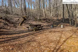 326 Deer Ridge Ln, Sparta, NC 28675 - Photo 8