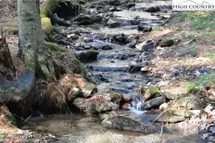 326 Deer Ridge Ln, Sparta, NC 28675 - Photo 2