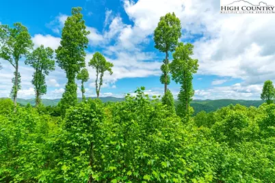 299 Indian Paintbrush Drive #R211, Banner Elk, NC 28604 - Photo 18