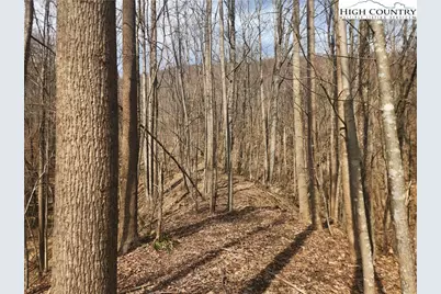 363 Center Church Road, Hiddenite, NC 28636 - Photo 6