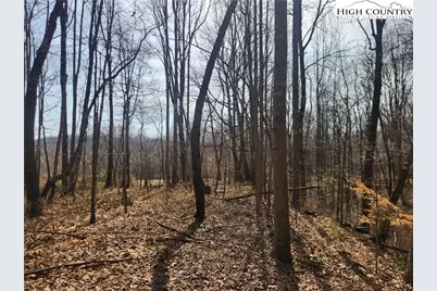 363 Center Church Road, Hiddenite, NC 28636 - Photo 48