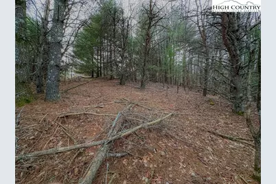 Lot 31 Shawnee Trail, Jefferson, NC 28640 - Photo 8
