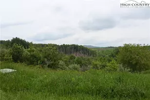 Na Tielcroft Rd, Crumpler, NC 28617 - Photo 1