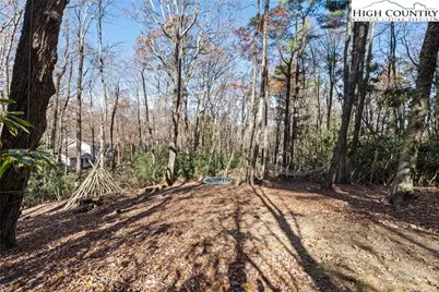 460 Deerfield Forest Parkway, Boone, NC 28607 - Photo 36