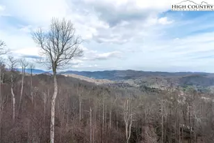 337 Indian Paintbrush Dr, Banner Elk, NC 28604 - Photo 14