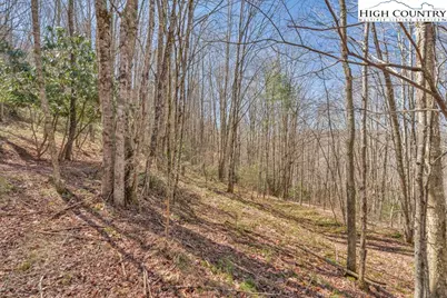 Tbd Arbordale Church Road, Banner Elk, NC 28604 - Photo 10
