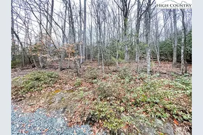 308 Poplar Drive, Beech Mountain, NC 28604 - Photo 4