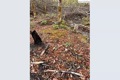 Lots 39 and 40 Snow Ridge Road, Banner Elk, NC 28604 - Photo 4