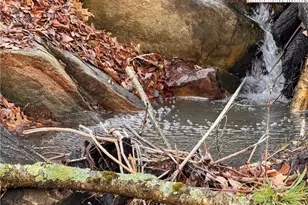 Lots 39 and 40 Snow Ridge Rd, Banner Elk, NC 28604 - Photo 1