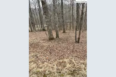 Lot #33 Elk Mountain Parkway, Todd, NC 28684 - Photo 1