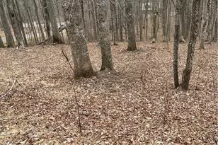 Lot #33 Elk Mountain Pkwy, Todd, NC 28684 - Photo 1