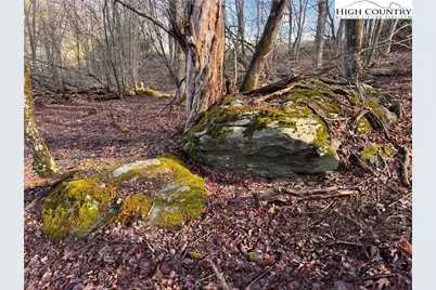 Tbd Horse Bottom Road, Banner Elk, NC 28604 - Photo 18