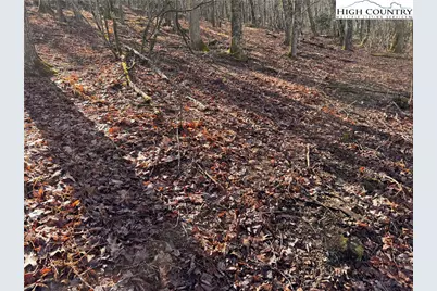 Tbd Horse Bottom Road, Banner Elk, NC 28604 - Photo 30