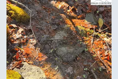 Tbd Horse Bottom Road, Banner Elk, NC 28604 - Photo 4