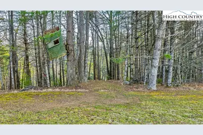 173 Wilderness Family Trail, Ennice, NC 28623 - Photo 6