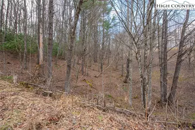 Tbd High Meadows Lane, Fleetwood, NC 28626 - Photo 12