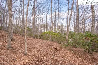 Tbd High Meadows Lane, Fleetwood, NC 28626 - Photo 8