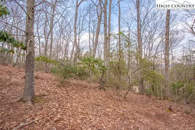 Tbd High Meadows Lane, Fleetwood, NC 28626 - Photo 6