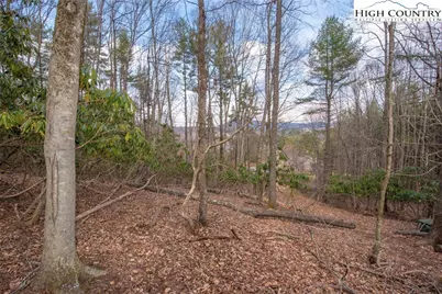 Tbd High Meadows Lane, Fleetwood, NC 28626 - Photo 2